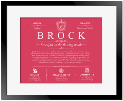 Brock family name origin and history in Red with Black Matte Frame