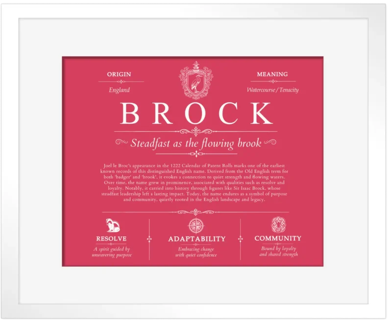 Brock family name origin and history in Red with White Matte Frame