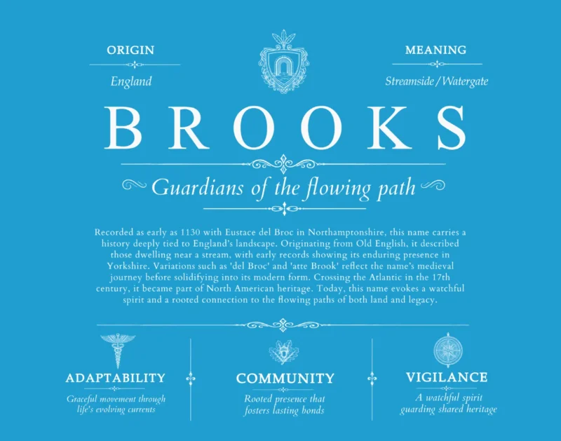 Brooks surname meaning origin and heritage in Blue