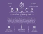 Bruce personalized last name meaning in Purple Bruce personalized last name meaning in Purple