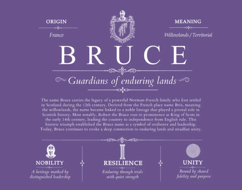 Bruce personalized last name meaning in Purple