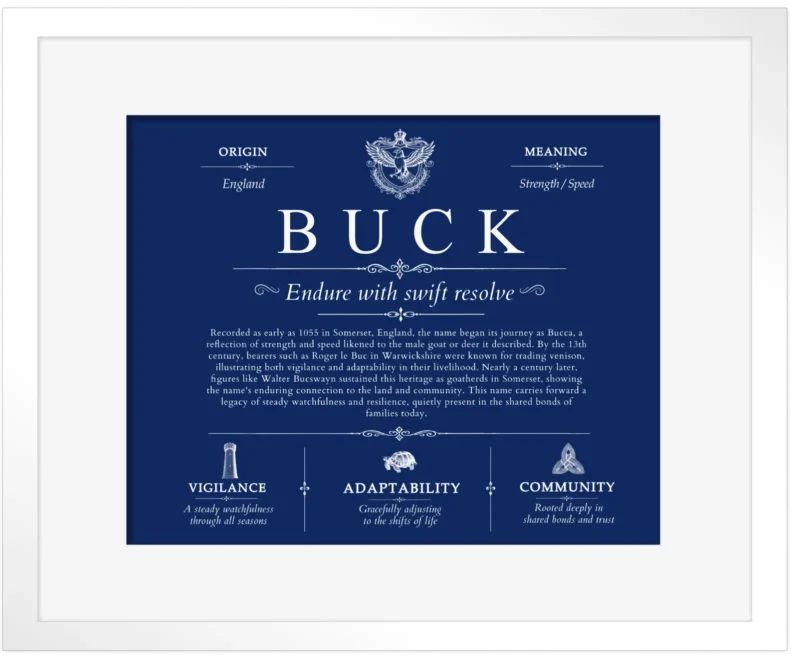 Buck surname heritage and history in Deep Blue with White Matte Frame