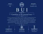 Bui surname origin and history in Deep Blue