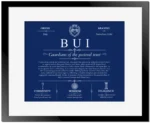 Bui surname origin and history in Deep Blue with Black Matte Frame