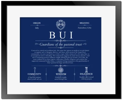 Bui surname origin and history in Deep Blue with Black Matte Frame