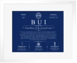 Bui surname origin and history in Deep Blue with White Matte Frame