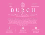 Burch surname origin and history in Pink