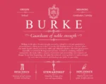 Burke last name history and origin in Red Burke last name history and origin in Red