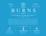 Burns surname heritage and history in Blue Burns surname heritage and history in Blue