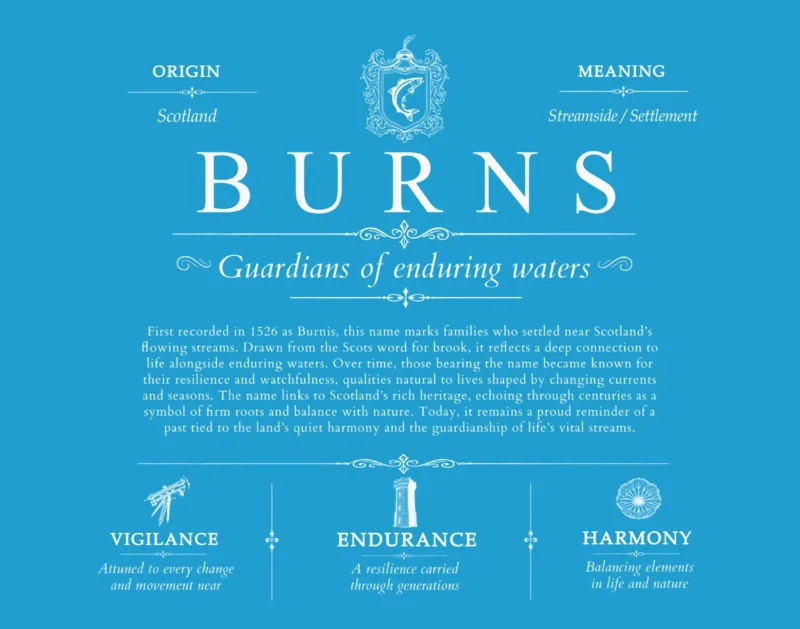 Burns surname heritage and history in Blue