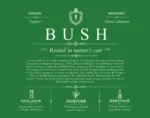 Bush surname origin and family heritage in Dark Green