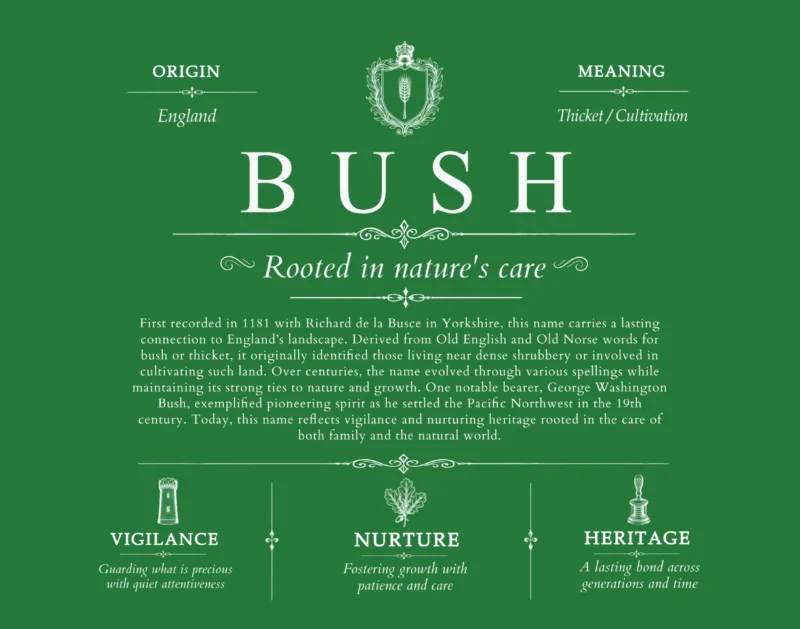 Bush surname origin and family heritage in Dark Green