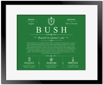 Bush surname origin and family heritage in Dark Green with Black Matte Frame