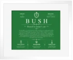 Bush surname origin and family heritage in Dark Green with White Matte Frame