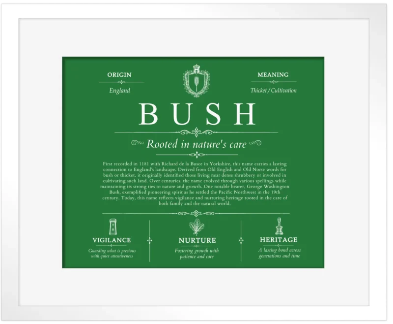 Bush surname origin and family heritage in Dark Green with White Matte Frame
