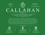 Callahan family name meaning and history in Dark Green