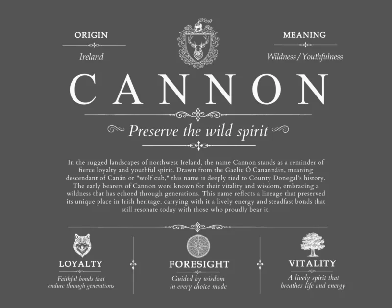 Cannon surname history and heritage in Gray