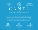 Cantu surname heritage and history in Blue Cantu surname heritage and history in Blue