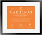 Cardenas last name meaning and origin in Orange with Black Matte Frame