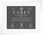 Carey family name history in Gray with White Matte Frame