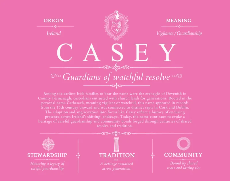 Casey surname meaning and origin in Pink