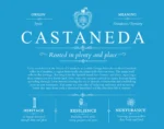 Castaneda family name history in Blue Castaneda family name history in Blue