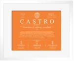 Castro surname meaning and origin in Orange with White Matte Frame