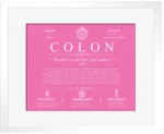 Colon family name meaning and origin in Pink with White Matte Frame