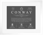 Conway family name meaning and history in Gray with White Matte Frame Conway family name meaning and history in Gray with White Matte Frame