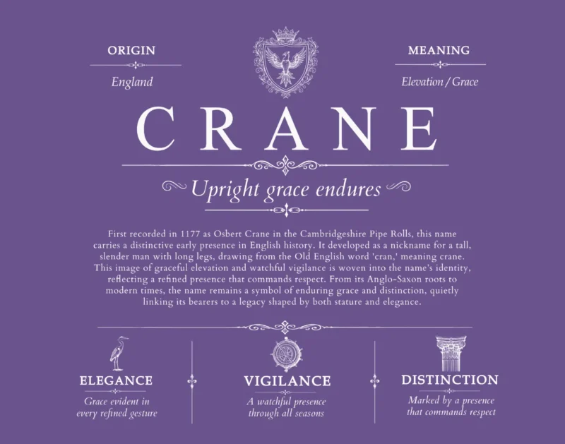 Crane family name heritage in Purple