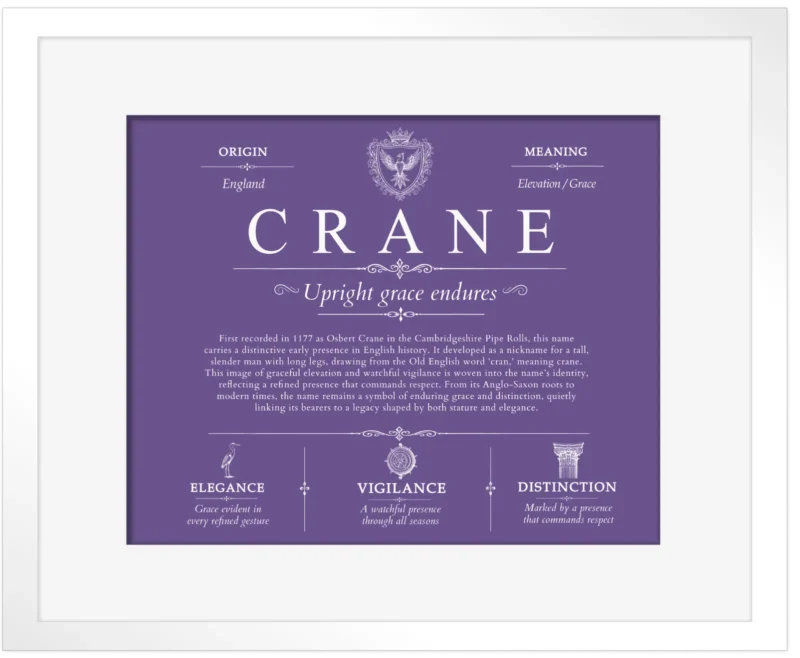 Crane family name heritage in Purple with White Matte Frame