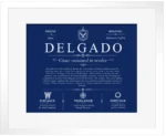 Delgado personalized surname meaning in Deep Blue with White Matte Frame