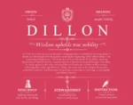 Dillon surname meaning origin and heritage in Red