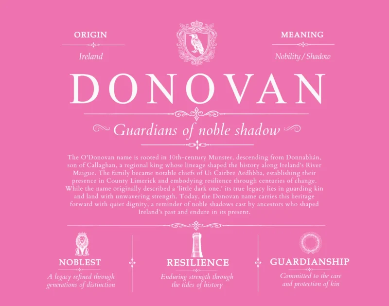 Donovan personalized surname meaning in Pink
