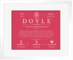 Doyle personalized surname meaning in Red with White Matte Frame