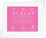 Dunlap last name history and origin in Pink with White Matte Frame