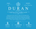 Duran surname meaning history and origin in Blue Duran surname meaning history and origin in Blue