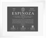 Espinoza surname meaning history and origin in Gray with White Matte Frame