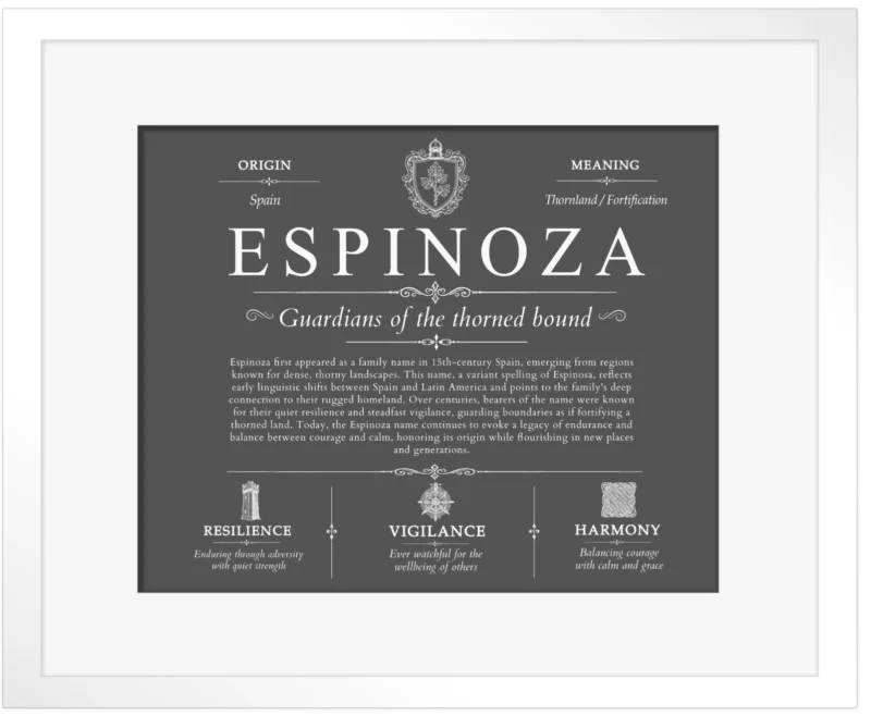 Espinoza surname meaning history and origin in Gray with White Matte Frame