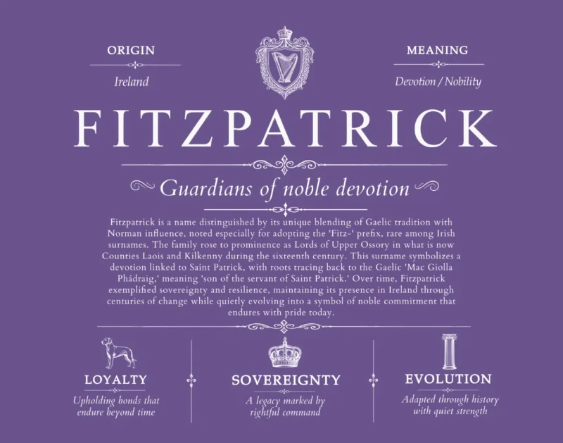 Fitzpatrick last name history and origin in Purple