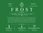Frost surname meaning and origin in Dark Green