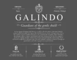 Galindo family name meaning and origin in Gray Galindo family name meaning and origin in Gray