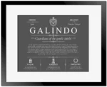 Galindo family name meaning and origin in Gray with Black Matte Frame