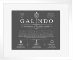Galindo family name meaning and origin in Gray with White Matte Frame Galindo family name meaning and origin in Gray with White Matte Frame