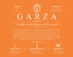Garza surname meaning origin and heritage in Orange