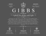 Gibbs surname origin and history in Gray