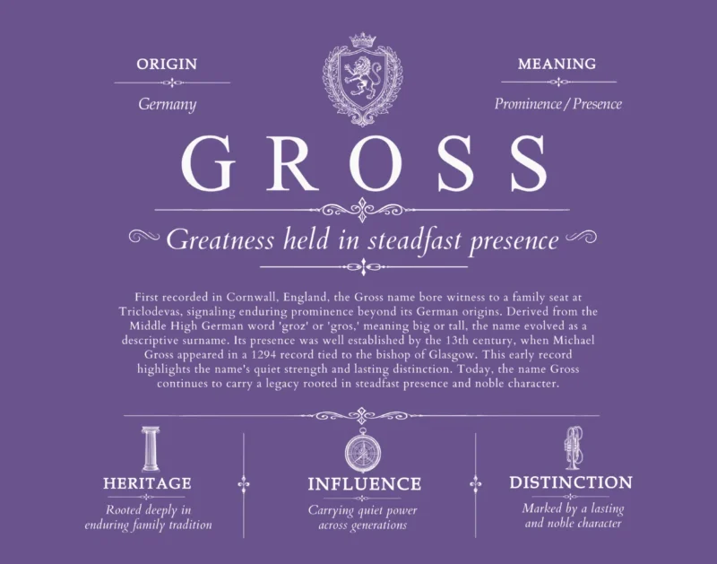 Gross surname meaning and heritage in Purple