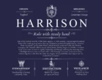 Harrison surname meaning and heritage in Navy Blue Harrison surname meaning and heritage in Navy Blue