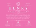 Henry family name meaning and history in Pink