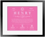 Henry family name meaning and history in Pink with Black Matte Frame